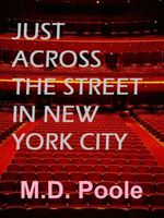 Cover of JUST ACROSS THE STREET IN NEW YORK CITY by M.D. Poole