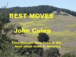 Cover of Best Moves by John Culea