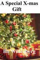 Cover of A Special Christmas Gift by Bo Widerberg