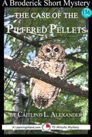 eBook edition cover