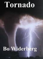 Cover of Tornado by Bo Widerberg