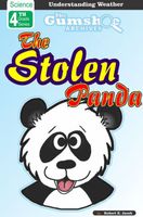 The Stolen Panda
