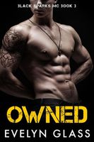 Cover of Owned by Evelyn Glass