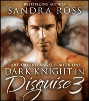 eBook edition cover
