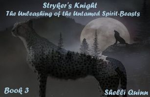 Cover of Stryker's Knight by Shelli Quinn