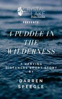 Cover of A Puddle in the Wilderness by Darren Speegle