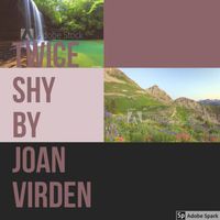 Cover of Twice Shy by Joan Virden
