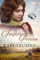 An Imperfect Promise