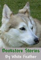 eBook edition cover