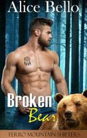 Broken Bear