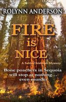 Cover of Fire is Nice by Rolynn Anderson
