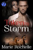 eBook edition cover