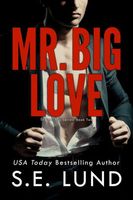 Mr. Big Love