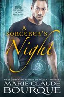 A Sorcerer's Night