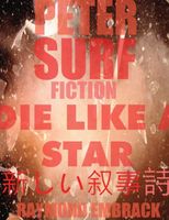 Cover of Die Like A Star by Raymond Embrack