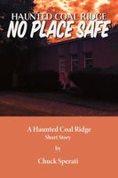 Cover of No Place Safe by Chuck Sperati