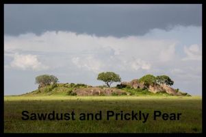 Cover of Sawdust and Prickly Pear by Patrick Ford