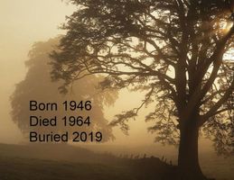 Cover of Born 1946...Died 1964...Buried 2019 by Patrick Ford