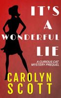 Cover of It's a Wonderful Lie by Carolyn Scott