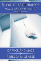 Of Mice & Maze