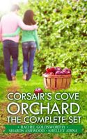 Rachel Goldsworthy's Latest Book