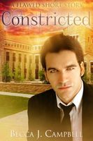 eBook edition cover