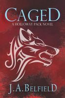 eBook edition cover