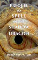 Prequel to Spell of the Shadow Dragon