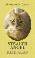 Cover of Stealth Angel by Reid Alan
