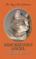 eBook edition cover