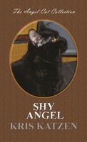 eBook edition cover