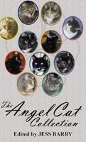 Hardcover edition cover