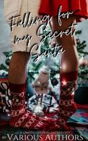 Falling for my Secret Santa