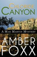 Cover of Chloride Canyon by Amber Foxx