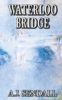Paperback edition cover