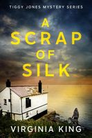 A Scrap of Silk