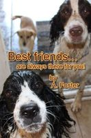 Ann Foster's Latest Book