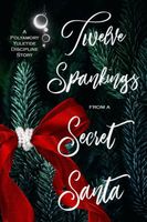 Cover of Twelve Spankings from a Secret Santa by Tia Fanning