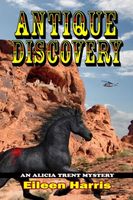 eBook edition cover