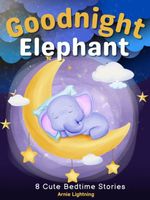 eBook edition cover