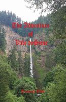 Cover of The Adventure of Vale deSune by Jeremiah Wade