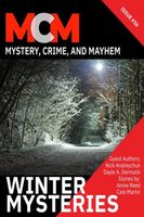 Winter Mysteries