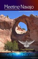 Cover of Meeting Navajo by David Bergsland