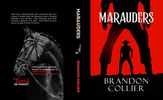Hardcover edition cover