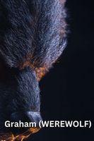 Graham (WEREWOLF)
