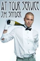 eBook edition cover