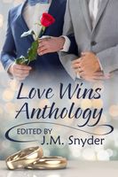 eBook edition cover