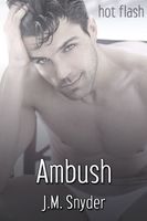 eBook edition cover