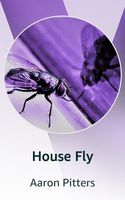 Cover of House Fly by Aaron Pitters