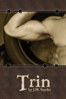 eBook edition cover